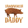Tamworth Schwein Papa