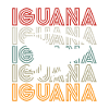 Iguanian Reptile Lover Herpetologist
