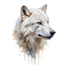 Majestueux loup blanc - Aquarelle