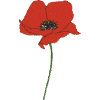 Poppy Impressionism