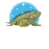 Iguana Lizard Reptile Iguanas Gift