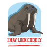 Walrus Walrus Gift