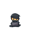 Data ninja data scientist