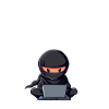 Data ninja data Scientist