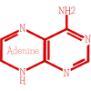 ADENINE
