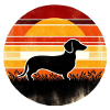 Dachshund