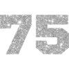 75 Silver Glitter - 75th Anniversary