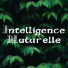 Natural artificial intelligence