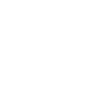 Flag Shape Icon