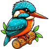 Kingfisher