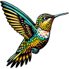 Colibri