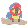 Perroquet effronté comme illustration