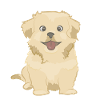Cute dog as illustration