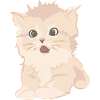 Chat mignon comme illustration
