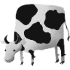 Cow in the pasture