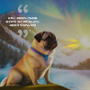 Welpen im Polarlicht mit Spruch