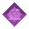 Aquarium Sea