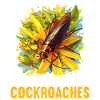 Cockroach Kakerlaken Kakerlake