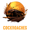 Cockroach cockroaches cockroach