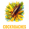 Cockroach Kakerlaken Kakerlake