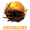 Cockroach cockroaches cockroach