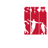 Polish football