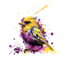 American Goldfinch