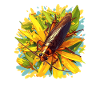 Cockroach cockroaches cockroach