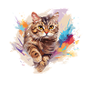 American Shorthair Cat