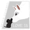 Love is... Dog and Cat