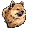 Eurasier Dog Dog Head