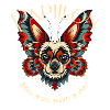 Chien Papillon