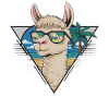 Summer Llama with Sunglasses Gift
