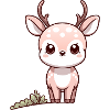 Roe deer