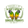 Feathers and Joy - Senegal Parrot