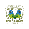 Feathers and joy - Red-rumped parrot