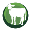 Vegan Animal Rights