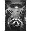 Ufo Selfie Raccoon