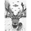Ufo Selfie Reindeer