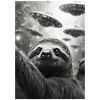 Ufo Selfie Sloth