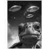 UFO Selfie Turtle