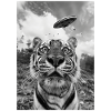 Ufo Selfie Tiger