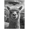 Ufo Selfie Alpaca