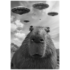 Capybara selfie OVNI