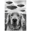 UFO Selfie Dog