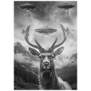 Ufo Selfie Moose