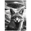 Ufo Selfie Fox