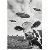 UFO Selfie Cow