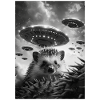 Ufo Selfie Hedgehog