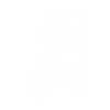 Bearded Dragon